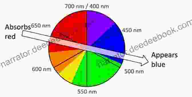 A Color Wheel, Showing The Different Colors Of The Visible Spectrum. Do Colors Exist?: And Other Profound Physics Questions