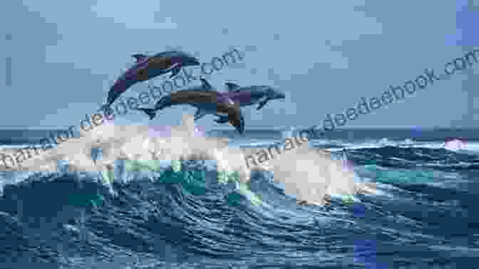 A Friendly Dolphin Leaping From The Water Near A Beach Access, Showcasing The Unexpected Wildlife Encounters That Can Occur Along The Coast. Ultimate Oregon Coast Travel: Lincoln City (Gleneden Beach Neskowin): Every Beach Access Odd Facts Fun Finds