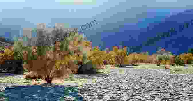 A Pristine Desert Landscape, With Smoke Trees Dotting The Horizon, Symbolizing The Importance Of Preserving Desert Ecosystems Mojave Desert Sanctuary (Smoke Tree Mystery 3)