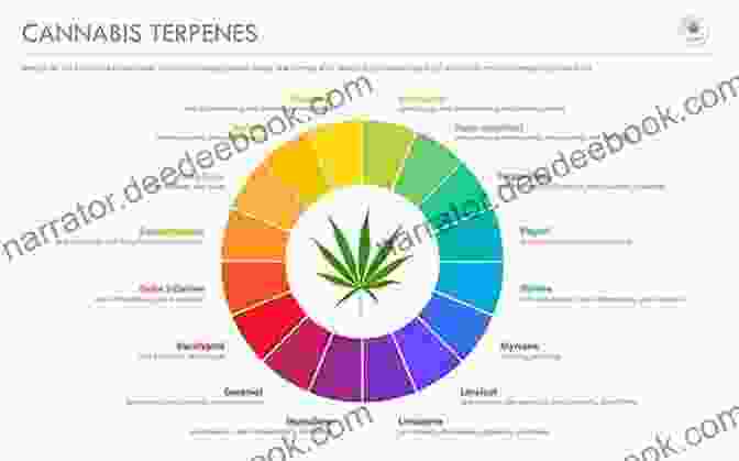 Cannabis Terpenes Are Aromatic Compounds That Give Cannabis Its Distinct Scents And Flavors. A Whiff Of Pine A Hint Of Skunk: A Forest Of Poems