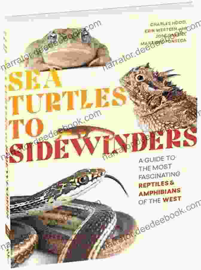 Pacific Tree Frog Sea Turtles To Sidewinders: A Guide To The Most Fascinating Reptiles And Amphibians Of The West