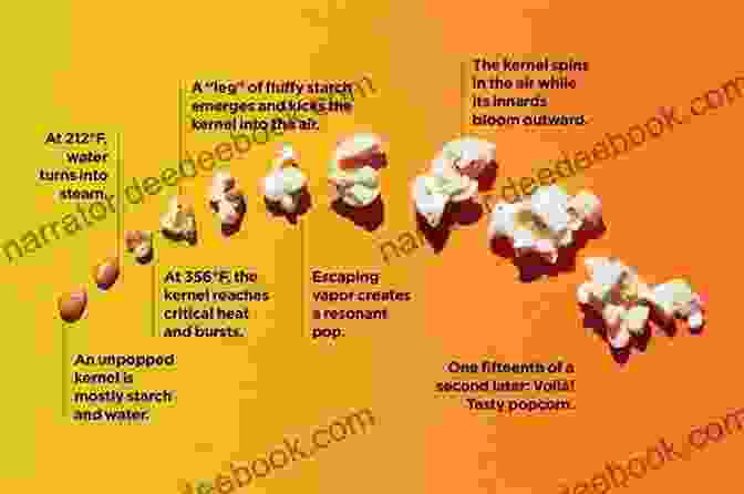 Popcorn Kernels Transformed Into Intrepid Astronauts, Soaring Through A Starry Sky In A Popcorn Spaceship The Popcorn Astronauts: And Other Biteable Rhymes