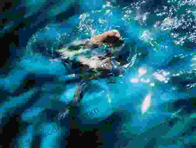 Sarah Painter Swimming Underwater, Surrounded By Sunlight Beneath The Water Sarah Painter