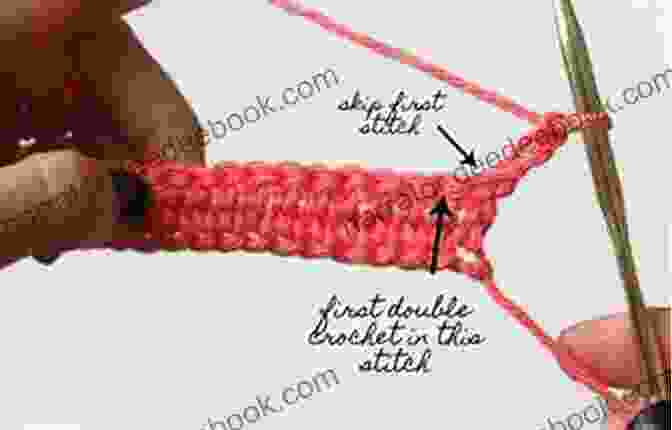 Skip The Next Stitch. Insert Your Hook Into The Next Stitch And Make 3 Dc. (3 Bundle) Crochet Instructions For Beginners Crochet Pattern Instructions For Beginners Crochet Stitches Instructions For Beginners