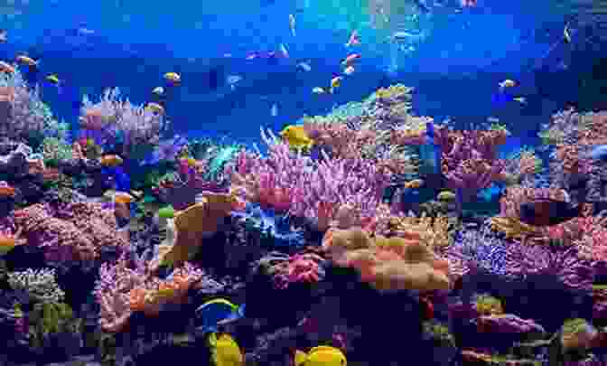 Vibrant And Diverse Coral Reef Ecosystem Teeming With Life, Showcasing Intricate Coral Formations And A Variety Of Marine Creatures Marine Algal Bloom: Characteristics Causes And Climate Change Impacts