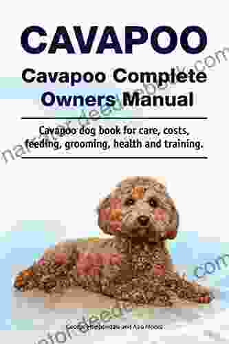 Cavapoo Cavapoo Complete Owners Manual Cavapoo Dog For Care Costs Feeding Grooming Health And Training