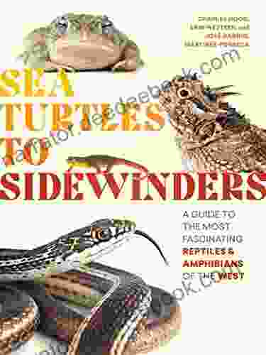 Sea Turtles To Sidewinders: A Guide To The Most Fascinating Reptiles And Amphibians Of The West