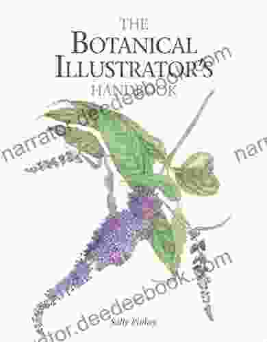Botanical Illustrator S Handbook Sally Pinhey