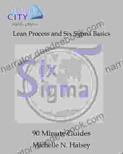 Lean Process And Six Sigma Basics (90 Minute Guide 22)